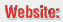 Subir Chowdhury's website (official or not)